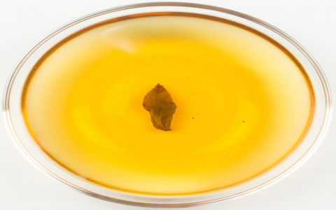 four seasons oolong
