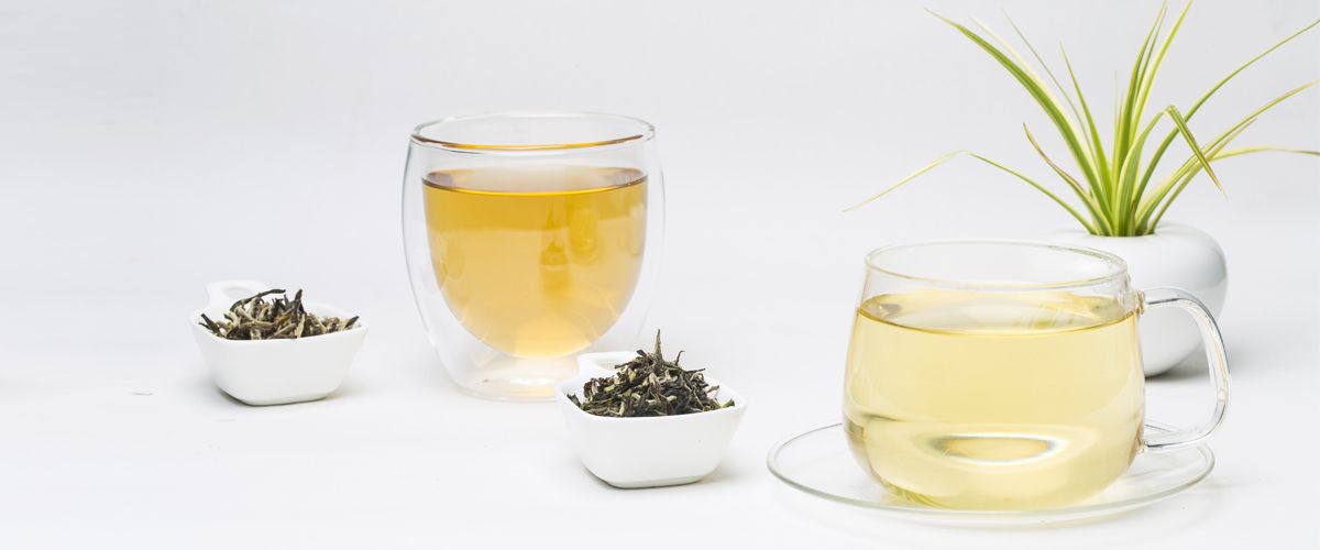 difference between white and green tea