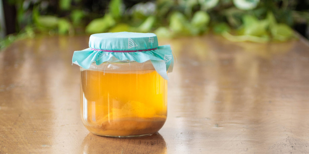green tea kombucha