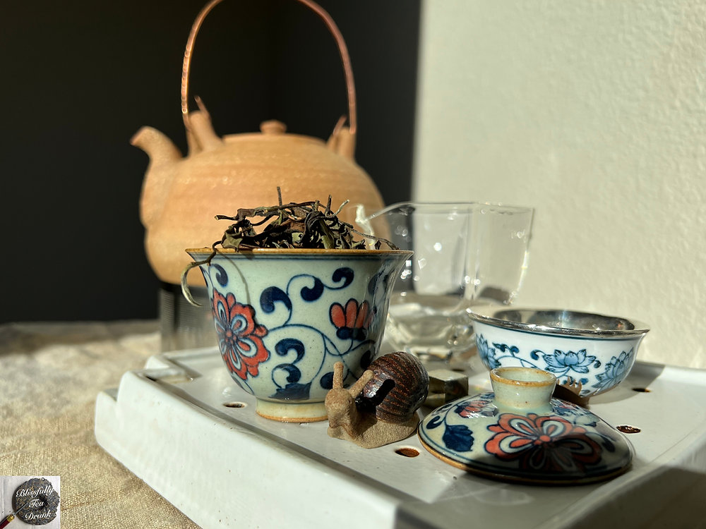 Best Gongfu Tea Set for Beginners (Simple Tips for Your First Tea Ceremony)
