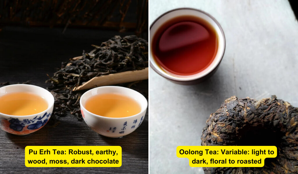 pu erh tea vs oolong