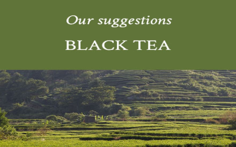 Simple Guide to the Difference Green Tea Black Tea