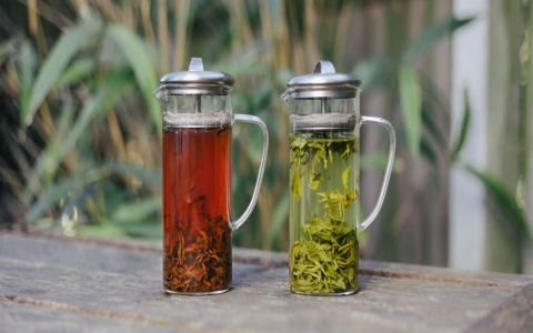 jasmine tea vs green tea
