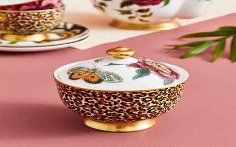 How to choose a gaiwan tea set? (Check these tips to find the perfect one for you)