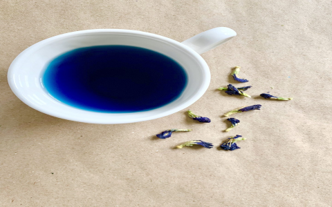 blue tea butterfly