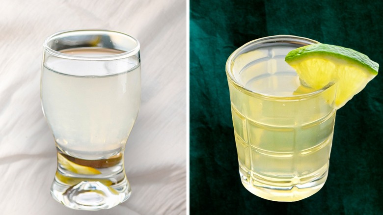 green tea shot vs white tea shot