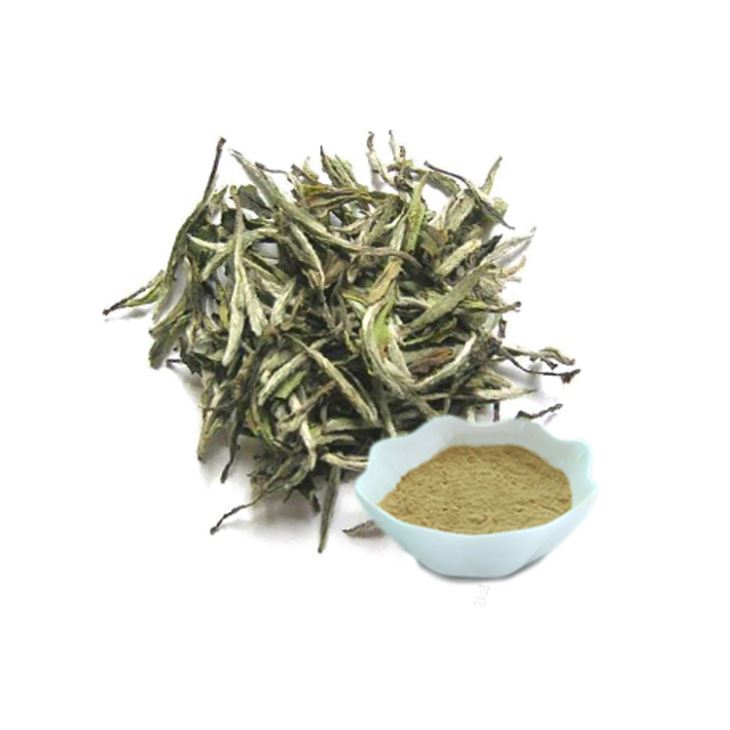 white tea extract