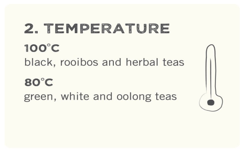 water temperature for white tea