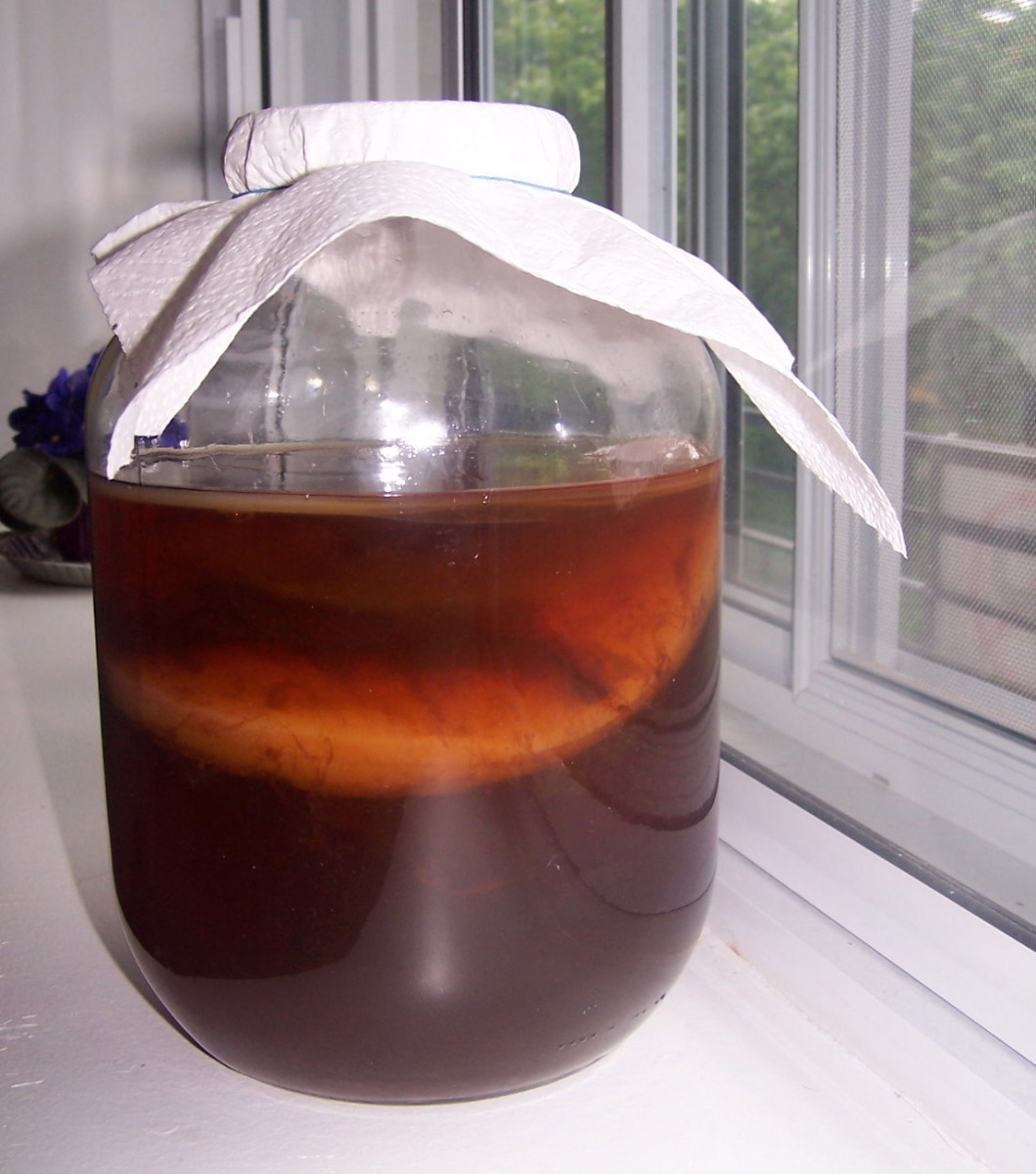 Black Tea Kombucha: What Is It and How Is It Made?
