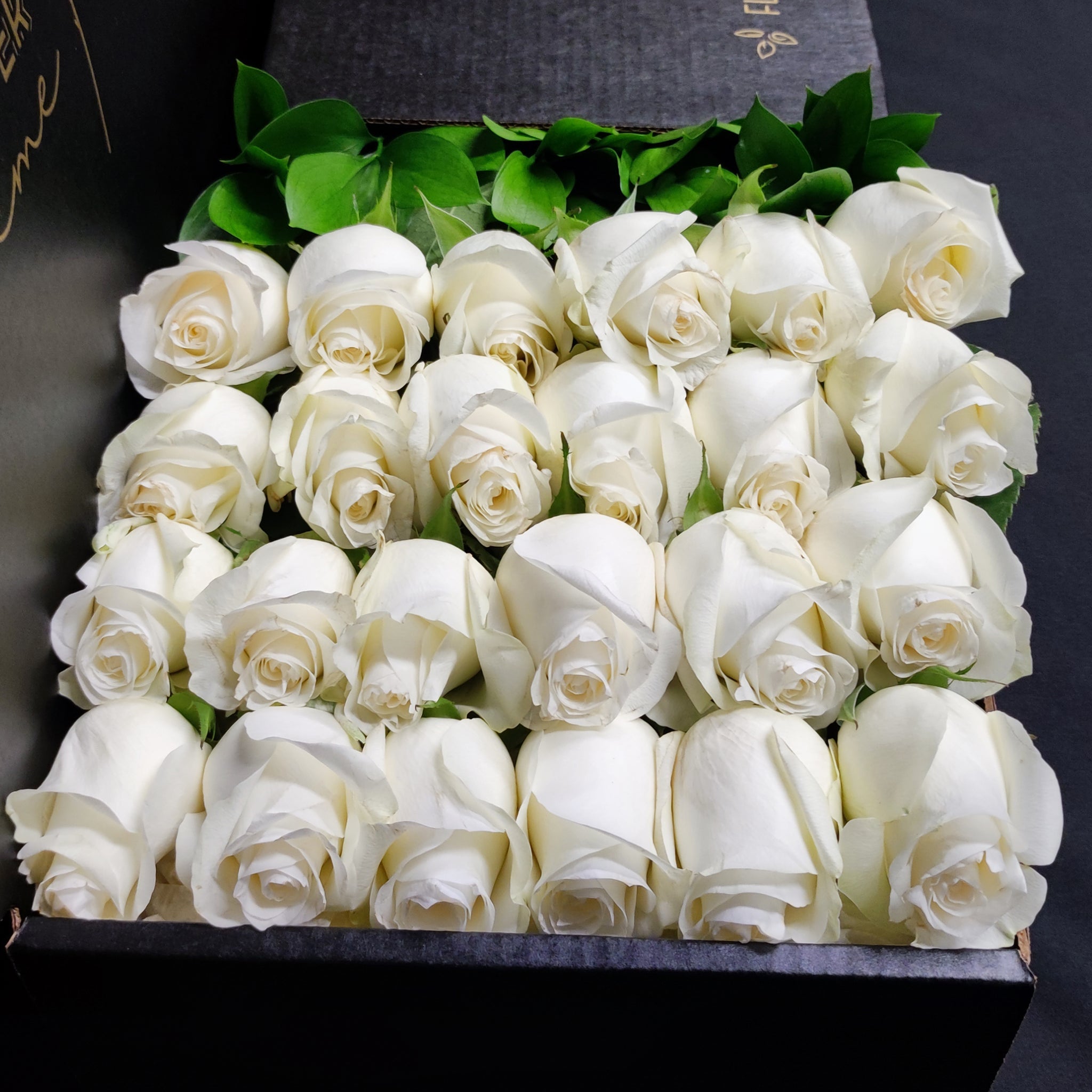 white tea roses