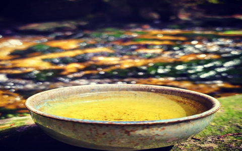 japanese oolong