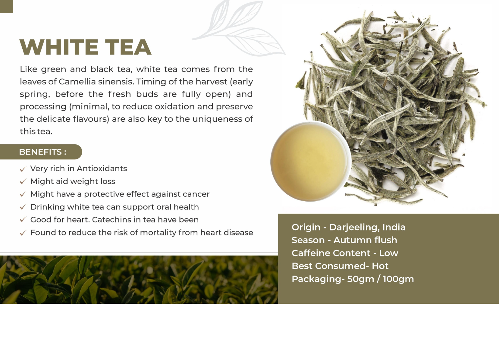 darjeeling white tea benefits