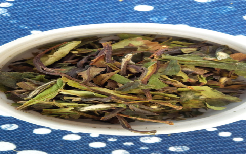 white tea and pomegranate