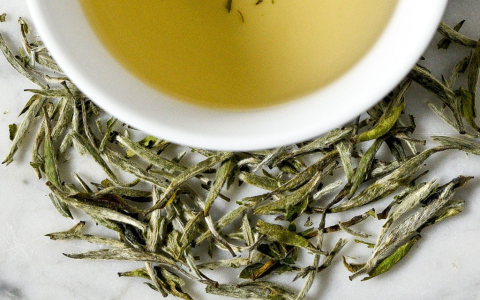 how long to brew white tea