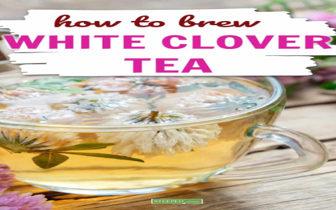 white clover tea