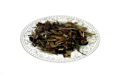 white lotus tea