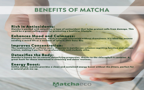 Macha Tea Set Review: Pros, Cons, and Where to Buy It