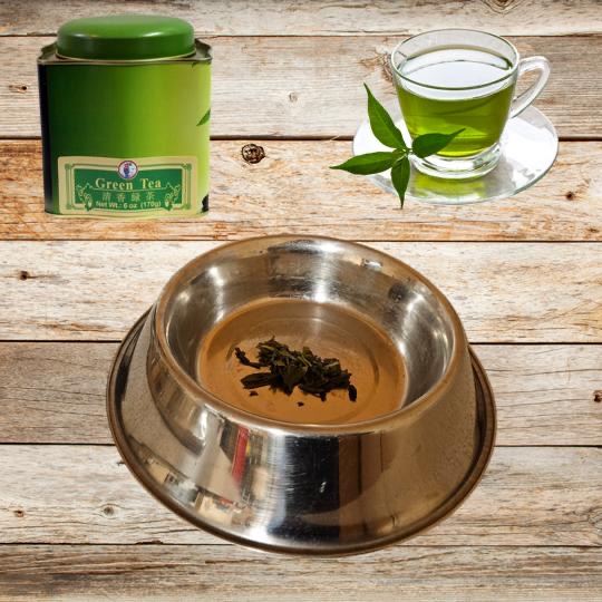 green tea for dogs