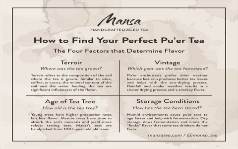 Black Tea 101: Understanding the Fermentation Process