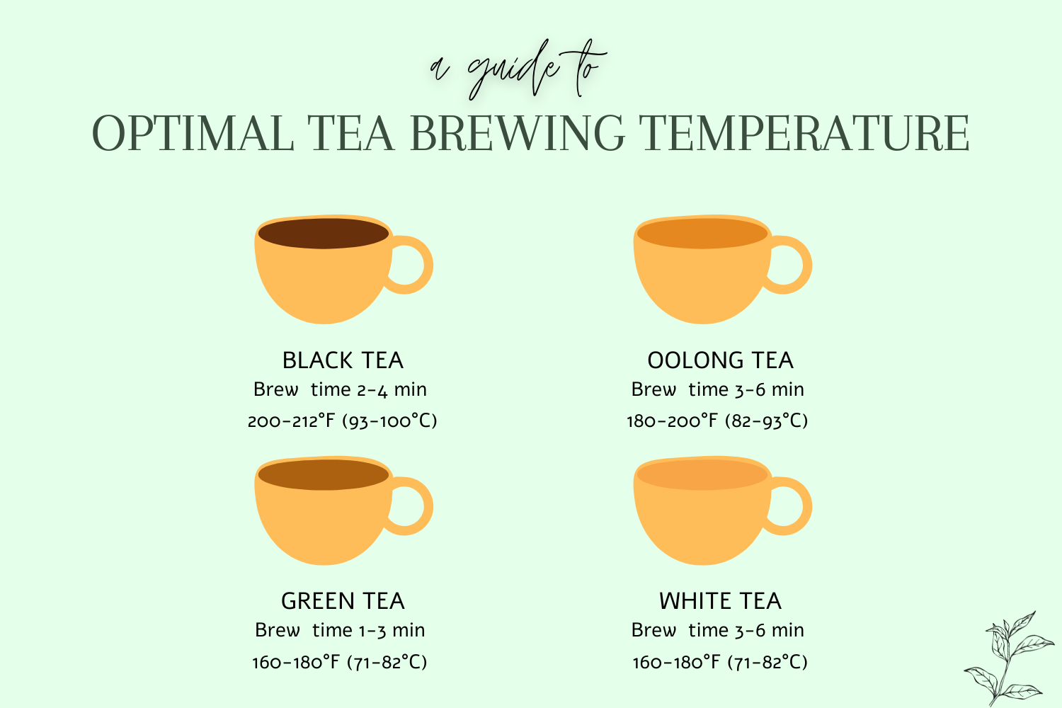 Black Tea Brewing Temp: The Ultimate Guide for Perfect Tea
