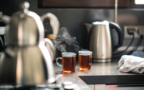 white tea brew temperature
