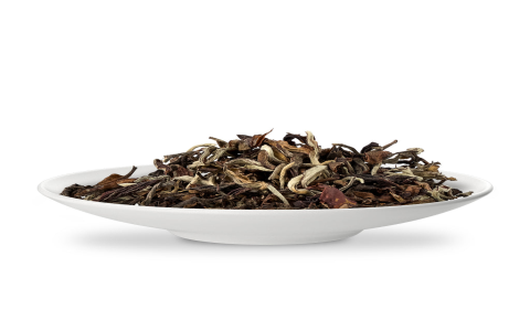 darjeeling or oolong