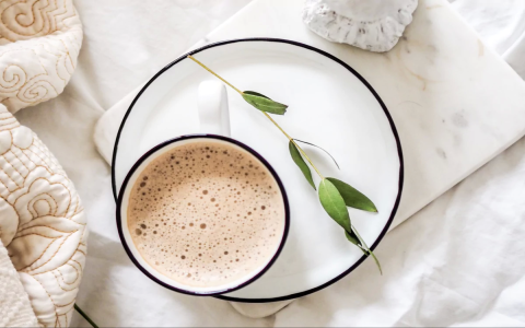 Mushroom Tea Set Review: Is It Worth the Hype?