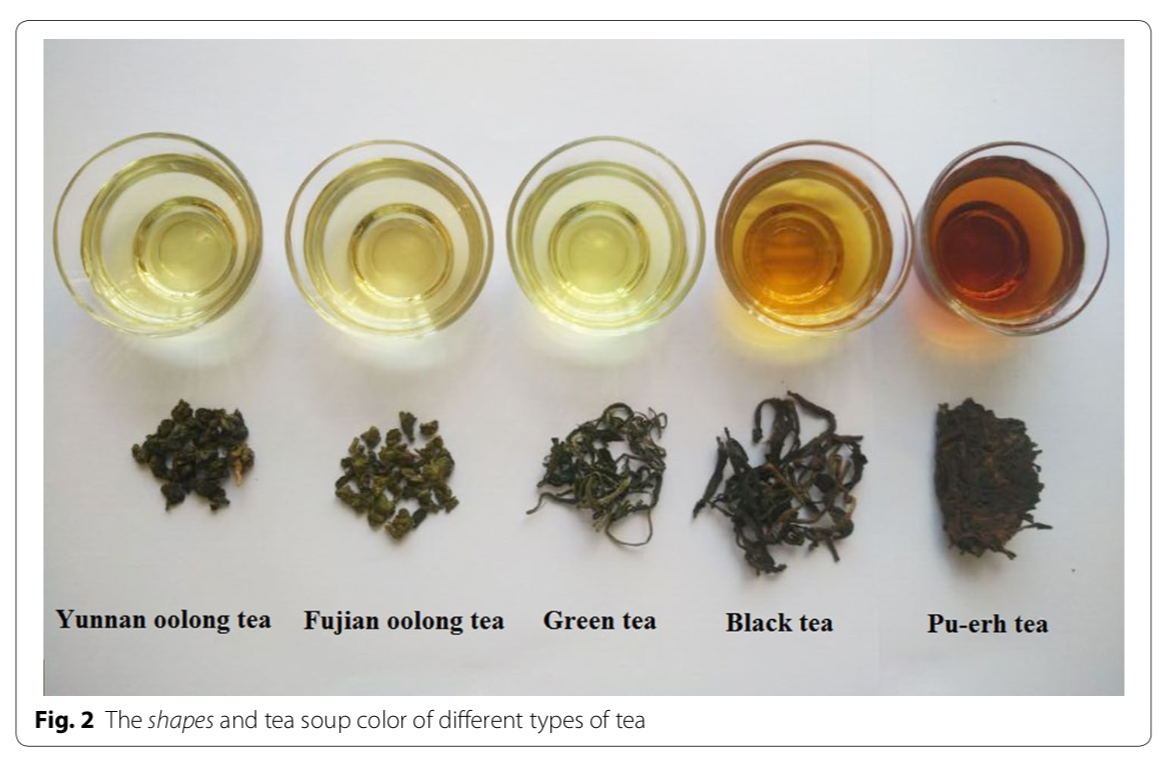 oolong tea types