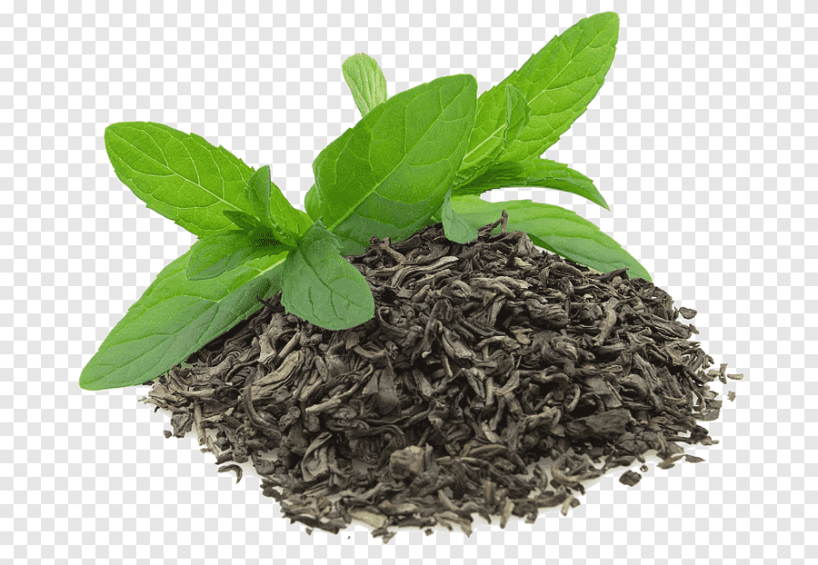 oolong tea png
