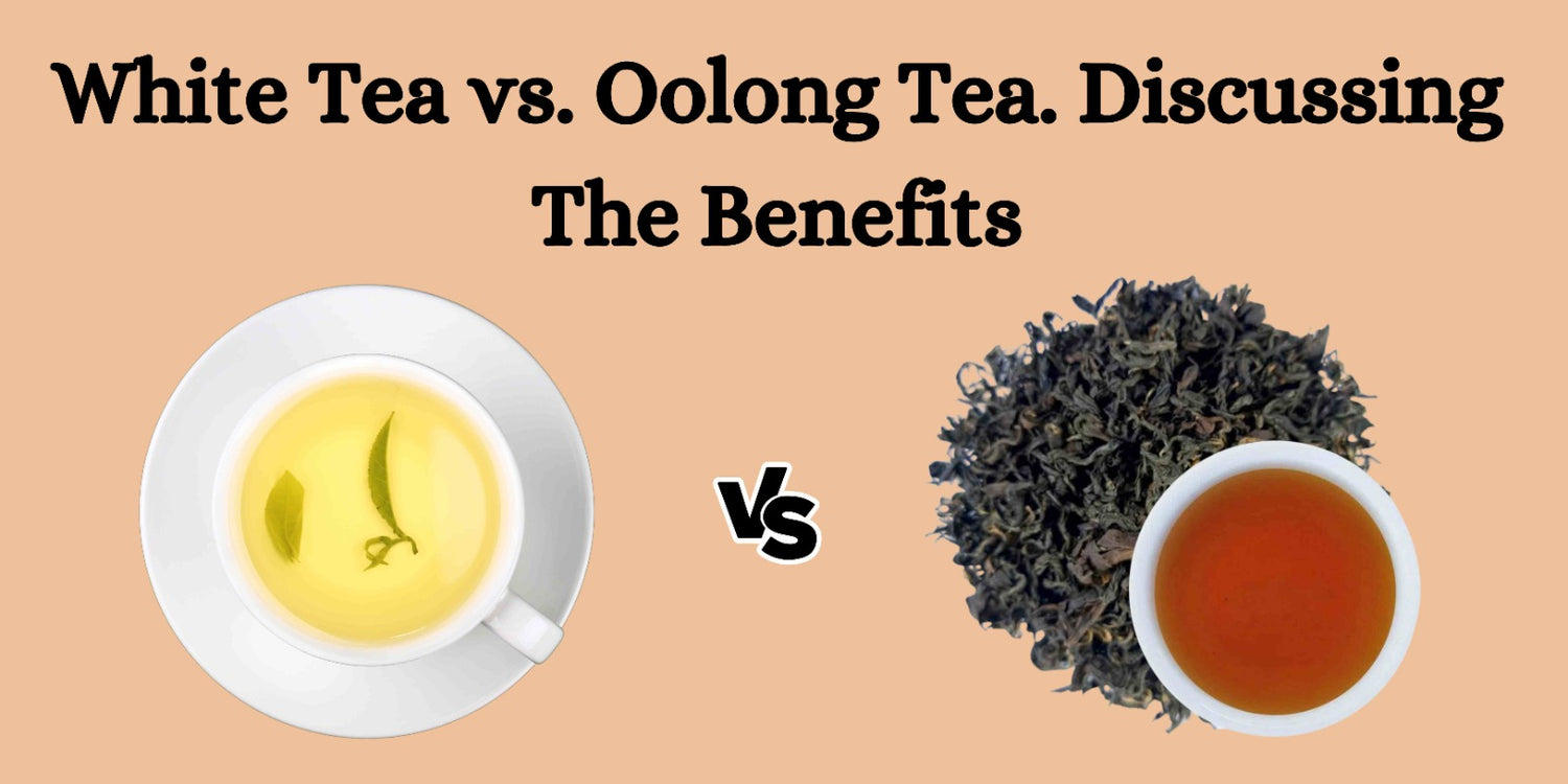 oolong vs white tea