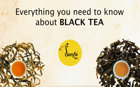 Surprising Darjeeling Black Tea Benefits: Learn How This Tea Can Enhance Your Overall Health.