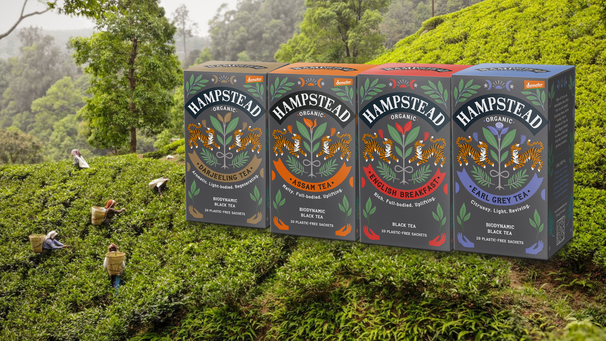 The Ultimate Guide to Choosing the Right Organic Black Tea