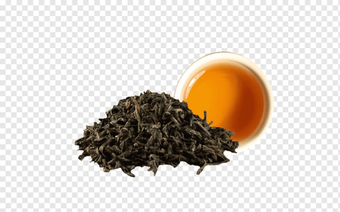 oolong tea png