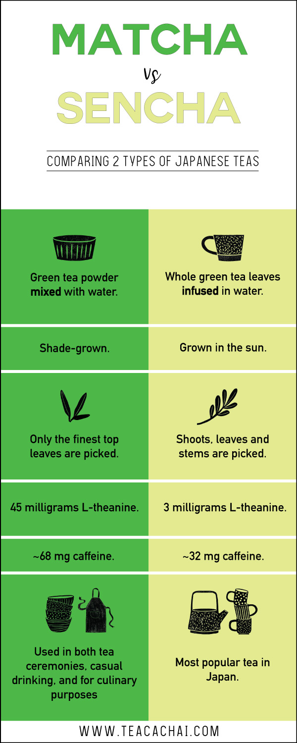 green tea versus matcha