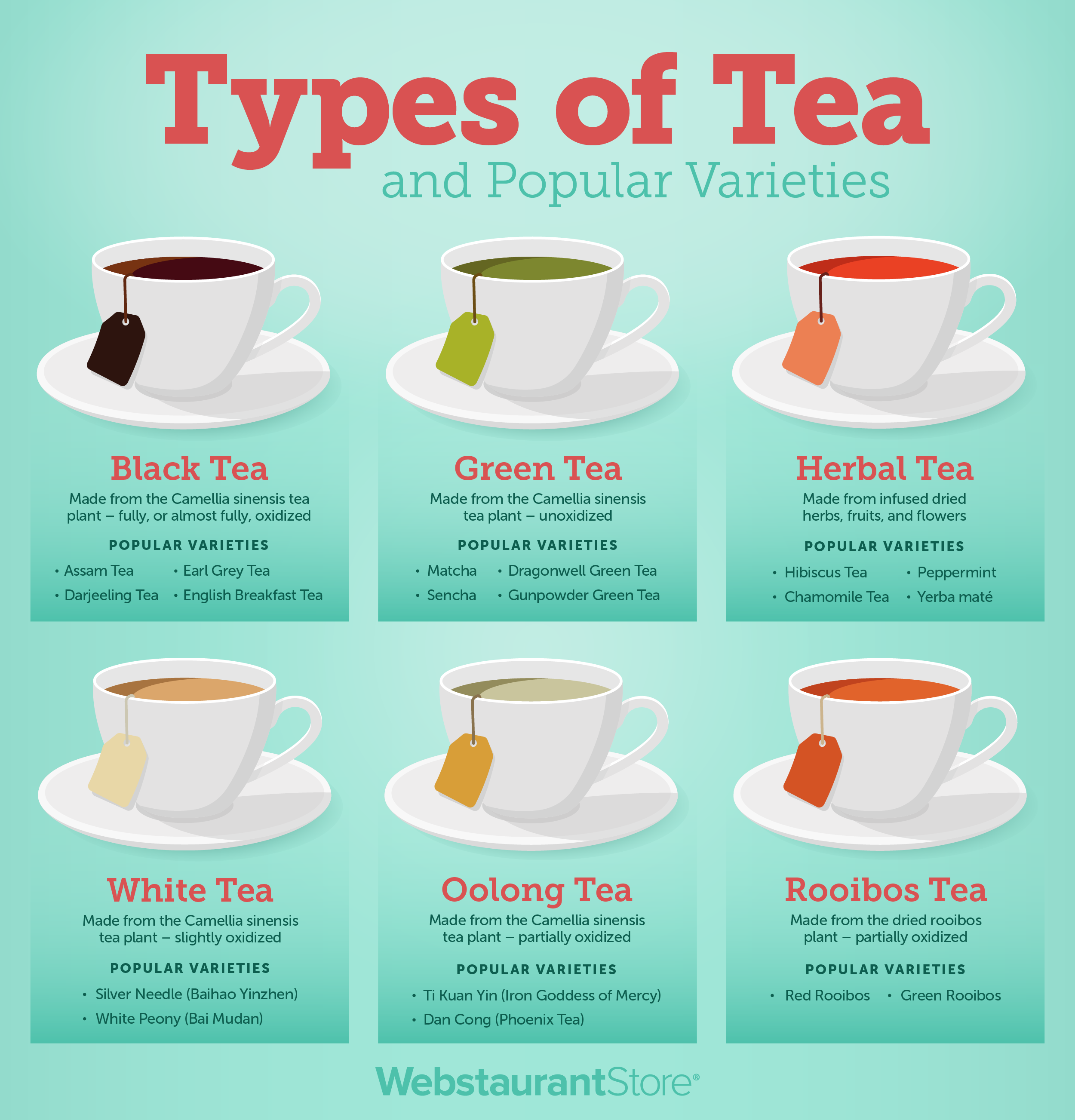 Understanding Tea Types: What is Difference Between Black Tea and Green Tea