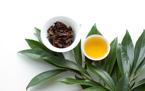 oriental beauty oolong
