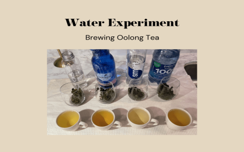 oolong brew time