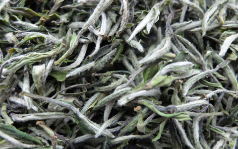 white tea drinks