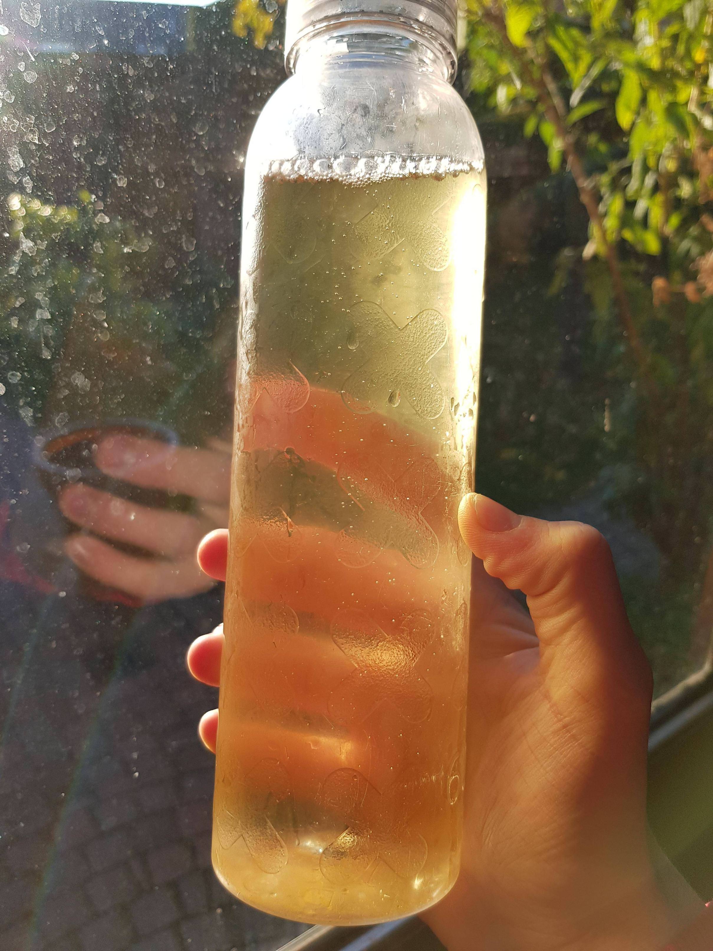 cold brew white tea