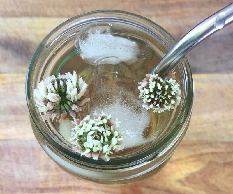 white clover tea