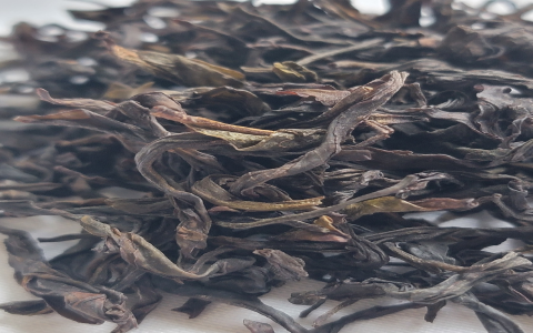 phoenix oolong