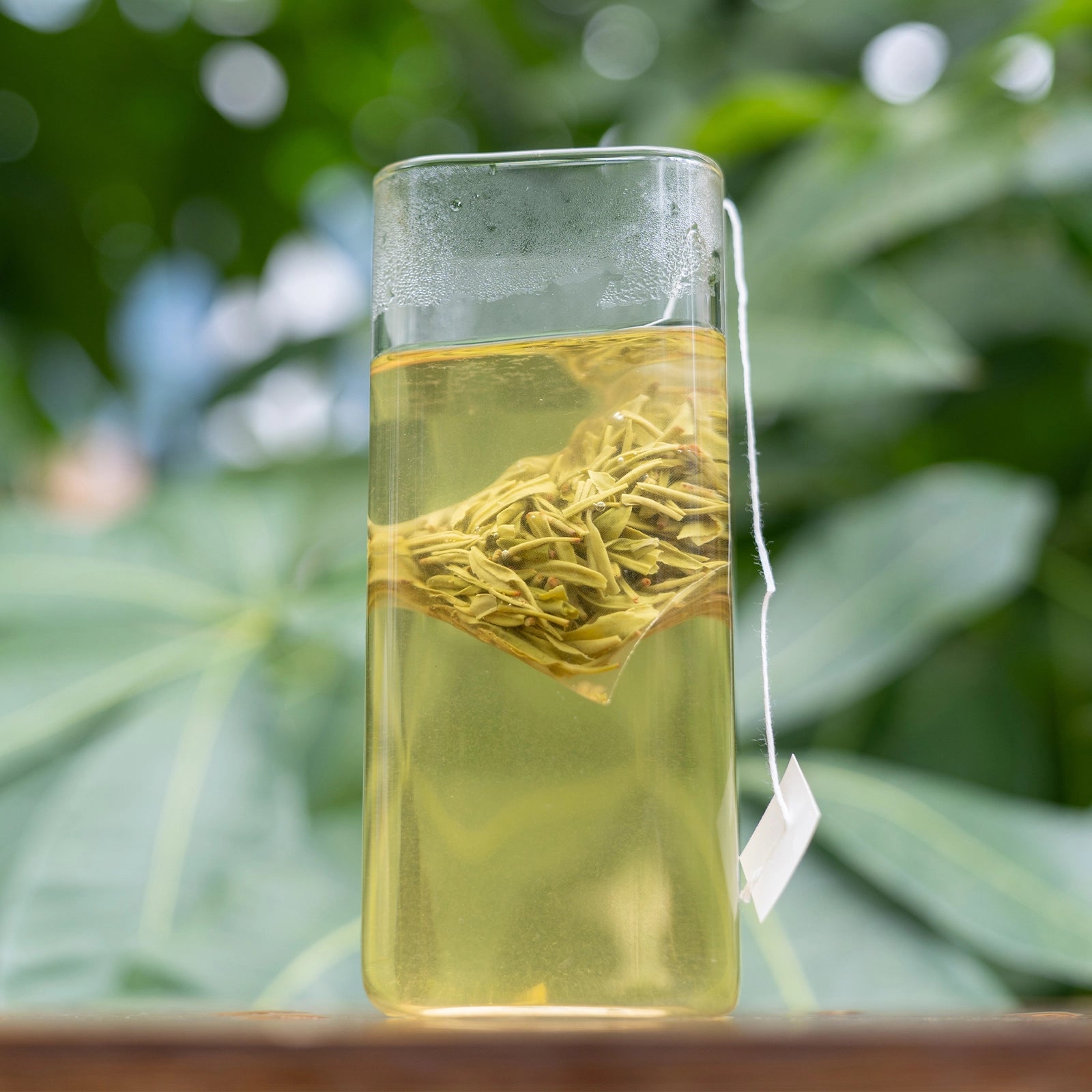 Find the Best Cold Brew Loose Leaf Tea Starter Set: Your Easy Guide.