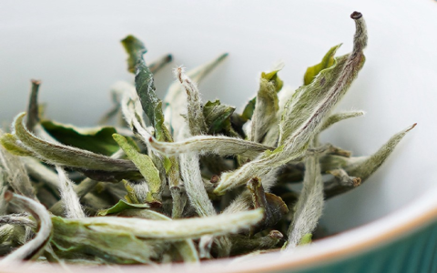 white tea recipes