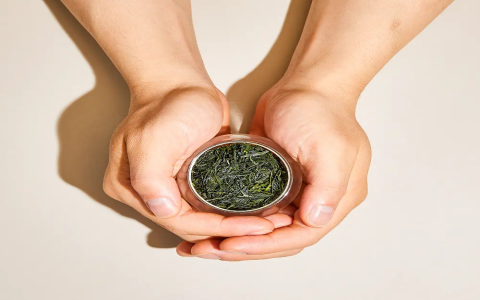 high caffeine green tea