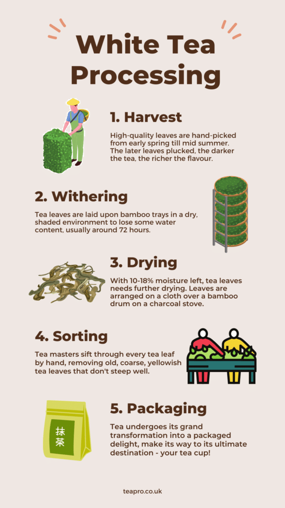 how to make a white tea