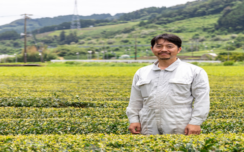 japanese tea oolong