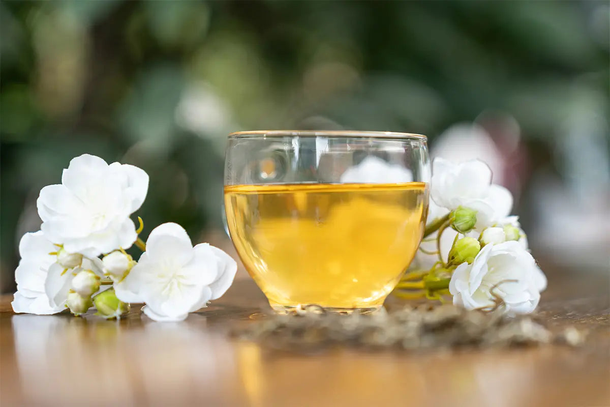china jasmine tea