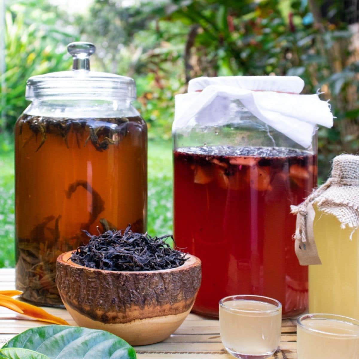 Black Tea Kombucha: What Is It and How Is It Made?