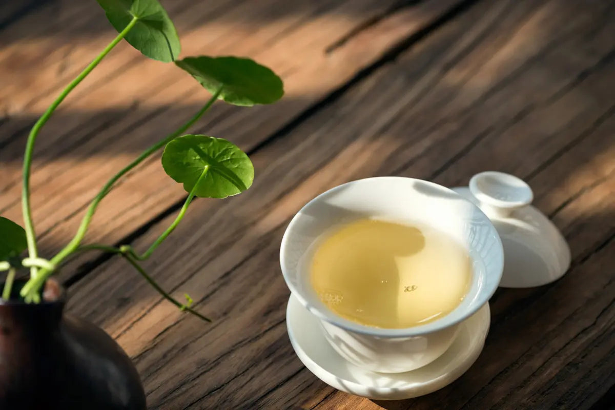 caffeine in a cup of oolong tea