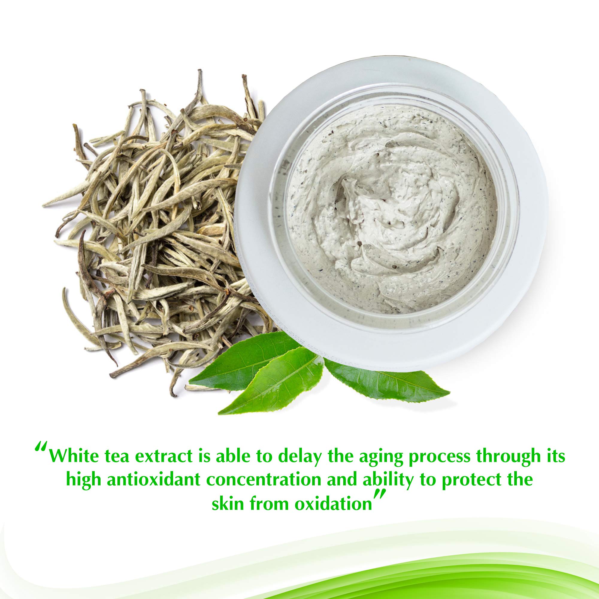 white tea extract